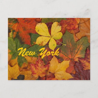 New York Automne Feuilles Carte postale