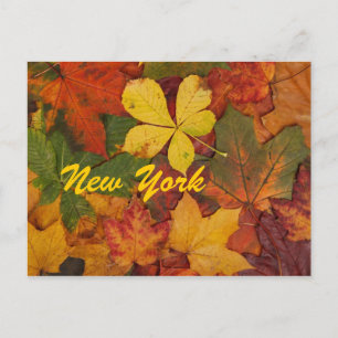 New York Autumn Leaves Briefkaart