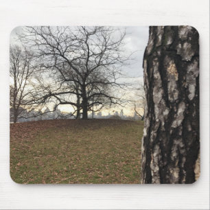 New York City Central Park Tree Sunrise Skyline Muismat