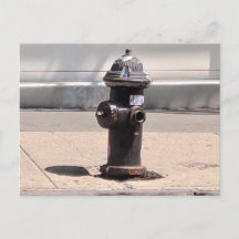 New York City Fire Hydrant Post Kaart