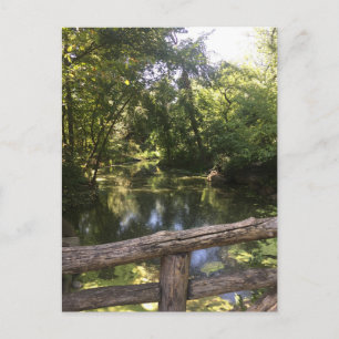 New York City NYC Central Park Trees Water Foto Briefkaart