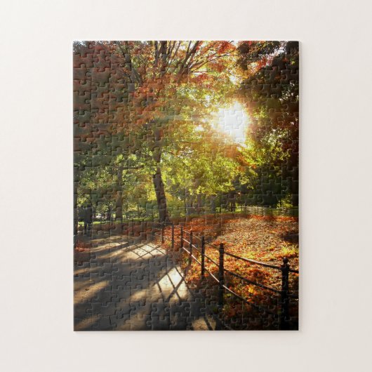 New York City Puzzle - Central Park Autumn Path Legpuzzel (Verticaal)