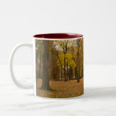 New York Cup Central Park New York Mug (Gauche)