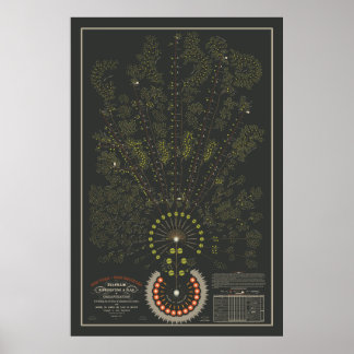 New York & Erie Railroad Org - Donker - Kleur Poster