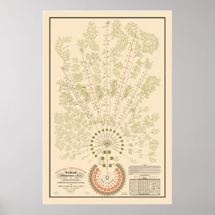 New York & Erie Railroad Org - Licht - Kleur Poster