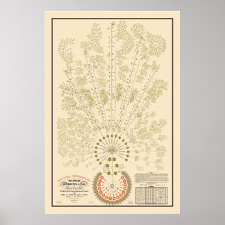 New York & Erie Railroad Org - Licht - Kleur Poster