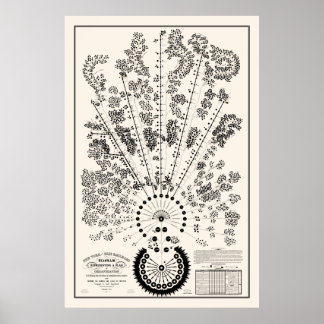 New York & Erie Railroad Org - Licht - Overzicht