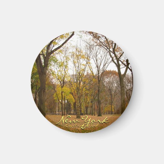 New York Fridge Magnet Central Park NYC Magnet Magneet (Voorkant)