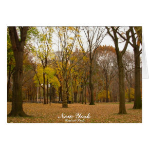New York Kaart Central Park Custom Souvenir Kaart
