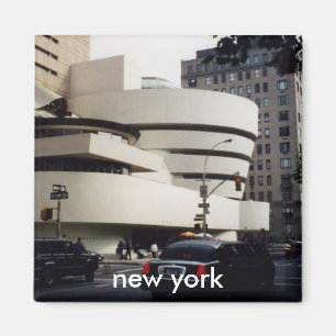 new york magnet magneet