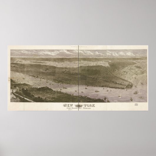New York Manhattan 1876 Antiek Panorama Poster (Voorkant)