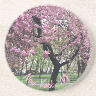 New York, NY Pink Cherry Blossom Tree Manhattan Zandsteen Onderzetter