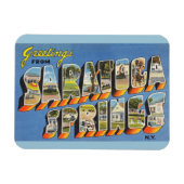 New York, Saratoga Springs Magnet (Horizontal)