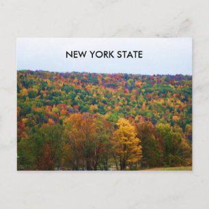 NEW YORK STATE EN AUTOMNE carte postale