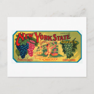 New York State Grapes Briefkaart