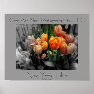 New York Tulips Poster