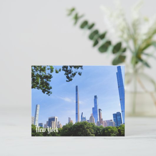 New York View Postcard Central Park & Brooklyn Briefkaart (Staand voorkant)