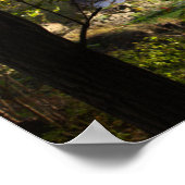 New York waterval foto Poster (Hoek)