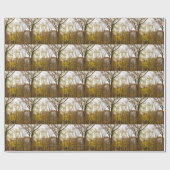 New York Wrapping Paper Central Park Gift Paper Cadeaupapier (Vlak)