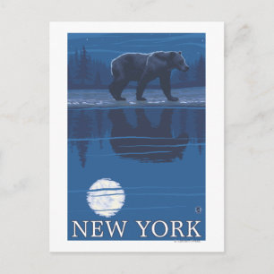 New YorkBear in het moonlight Briefkaart