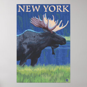 New YorkMoose in het Moonlight Poster