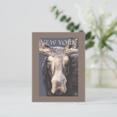 New YorkMoose Up Close Briefkaart (Staand voorkant)