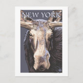 New YorkMoose Up Close Briefkaart (Voorkant)