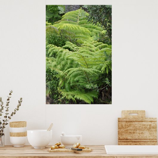New Zealand Fern Ponga Tree Poster (Keuken)