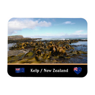 New Zealand, Kelp Coast - Curio Bay/The Catlins Magneet
