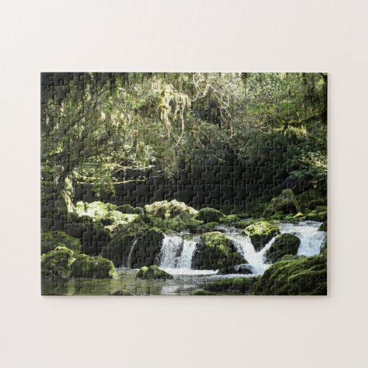 New Zealand Stream with Waterfall Natuur Photo Legpuzzel (Horizontaal)