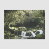 New Zealand Stream with Waterfall Natuur Photo Tissuepapier (Voorkant)