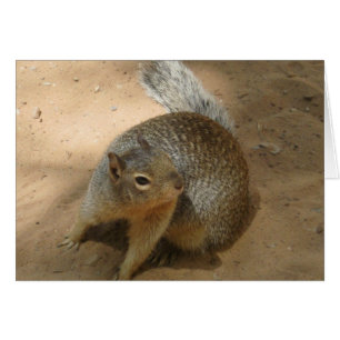 ~New Zion FuZzY GuY~