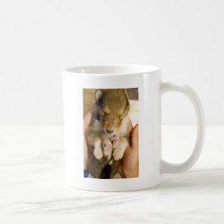 Newborn Collie Puppy Koffiemok