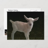 Newborn Doeling Briefkaart (Voorkant / Achterkant)