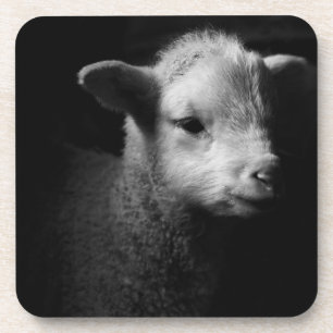 Newborn Lamb Bier Onderzetter