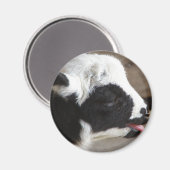 Newborn Lamb Magneet (Voorkant / Achterkant)