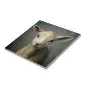Newborn Lamb Tegeltje (Zijkant)