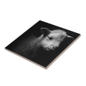 Newborn Lamb Tegeltje (Zijkant)