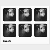 Newborn Lamb Vierkante Sticker (Vel)