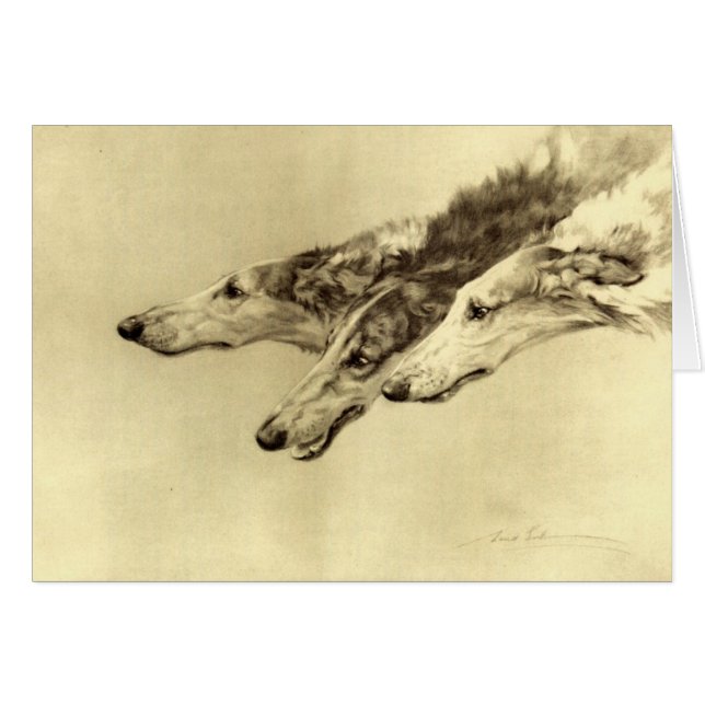 Newcastle Borzoi (Voorkant Horizontaal)