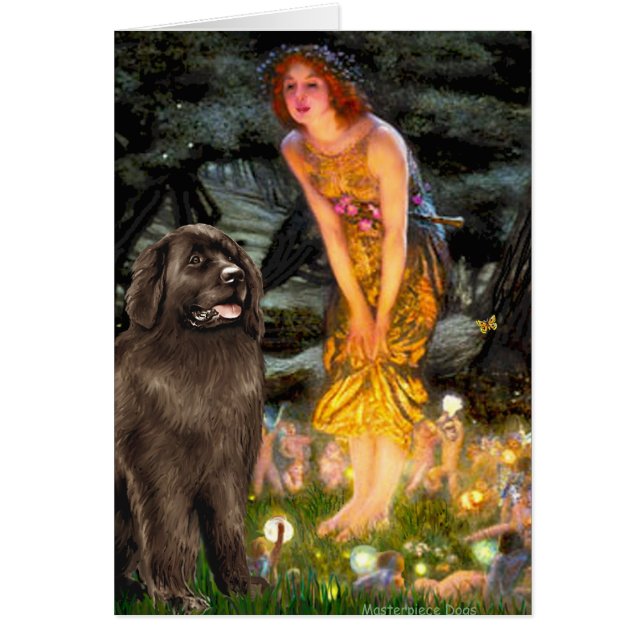 Newfie (bruin) - MidEve (Voorkant)