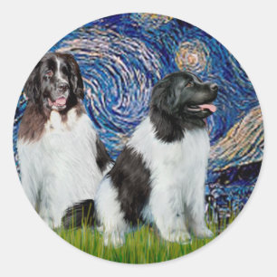Newfie Landseer Paar - Sterrennacht Ronde Sticker