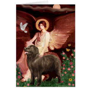 Newfie (marron) - Ange assis