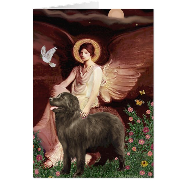 Newfie (marron) - Ange assis (Devant)
