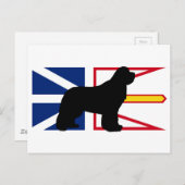 newfie silo op Flag_of_Newfoundland_and_Labrador.p Briefkaart (Voorkant / Achterkant)