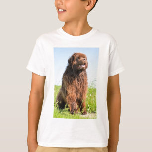 newfie-vergadering.png t-shirt