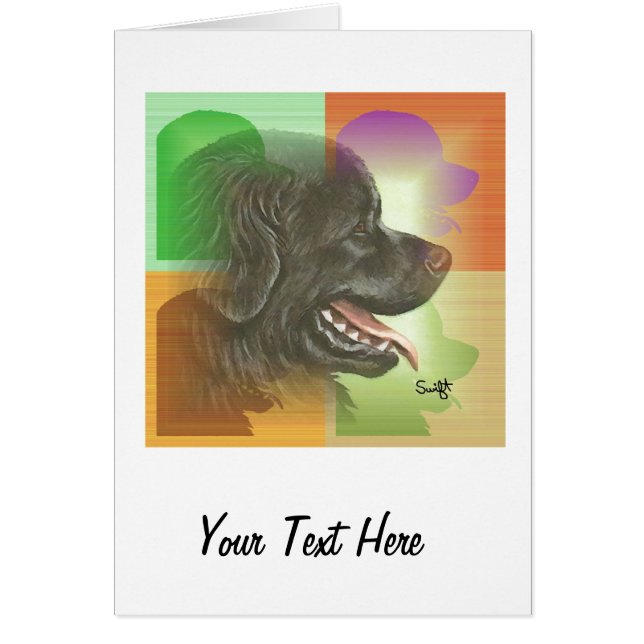 Newfoundland (Voorkant)