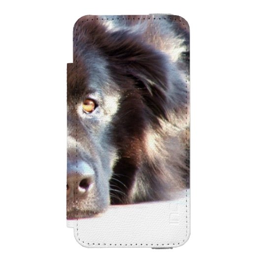 newfoundland-3 incipio iPhone portemonnee hoesje (Voorkant Agenda)