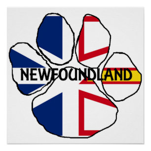 Newfoundland_and_Labrador flag name paw Perfect Poster