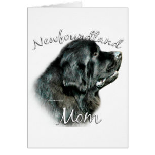 Newfoundland (blk) Moeder 2